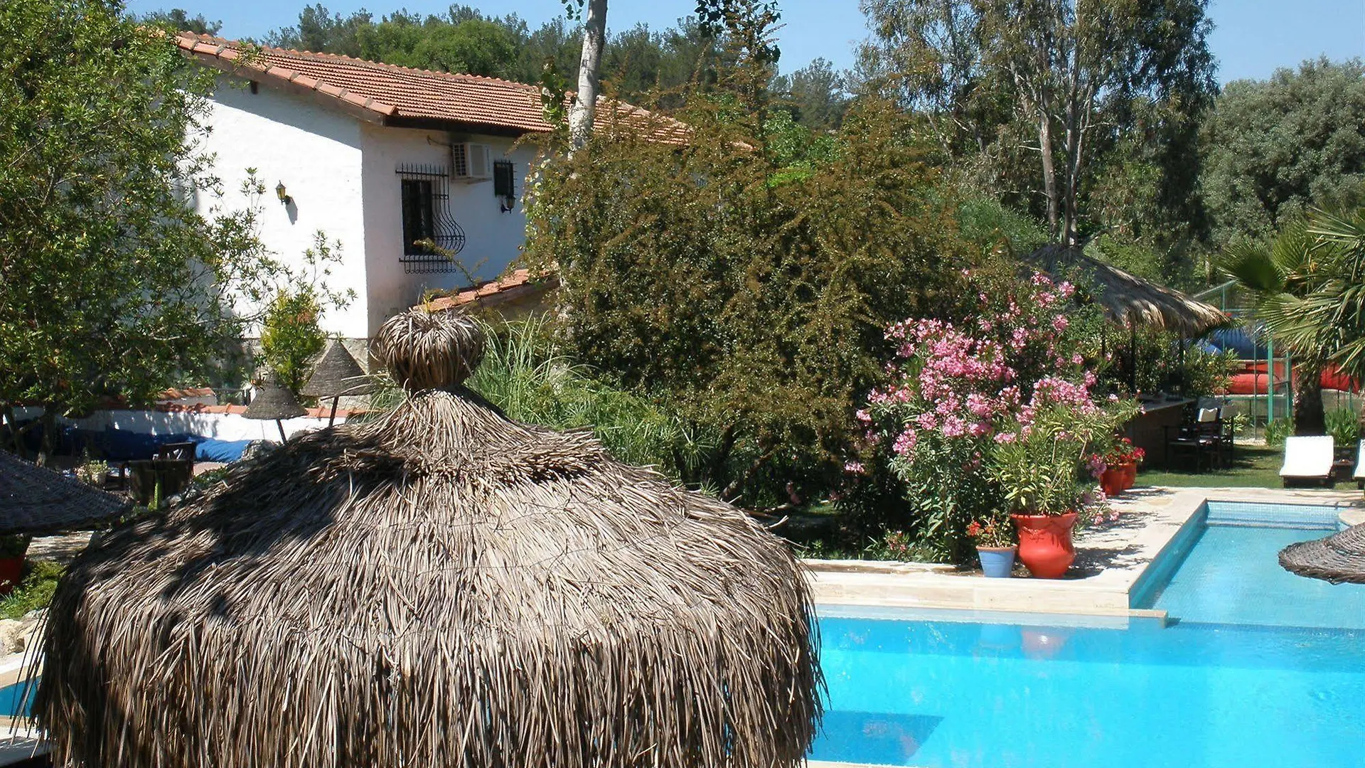 Bakkhos Guesthouse Kusadası Turcia