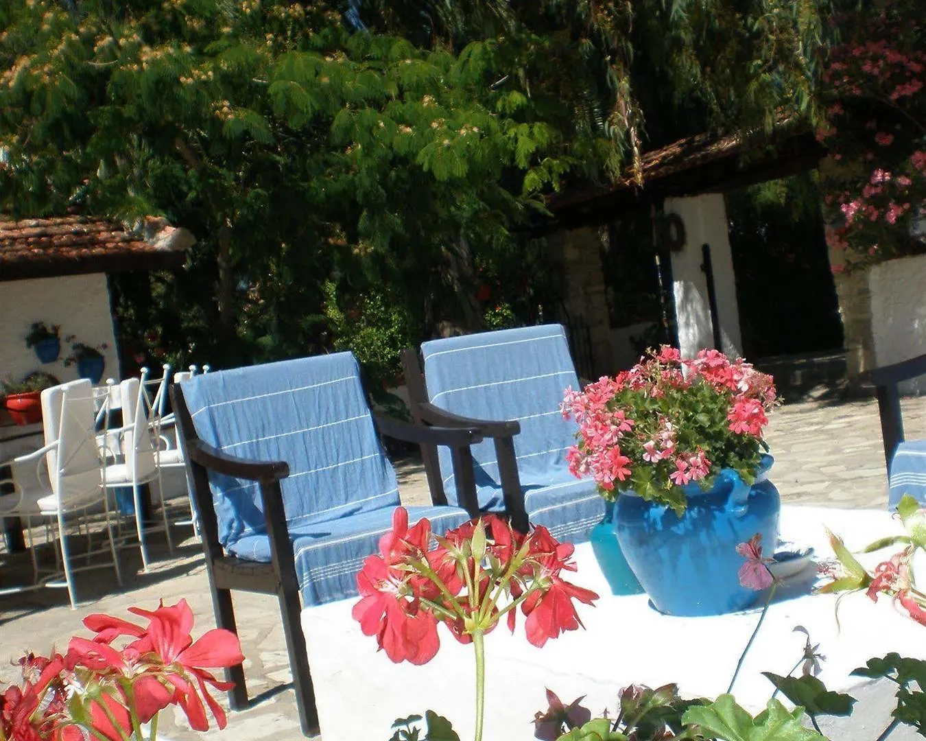 Pensiune Bakkhos Guesthouse Kusadası